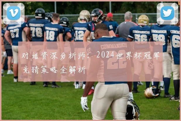 对话资深分析师：2024世界杯冠军竞猜策略全解析
