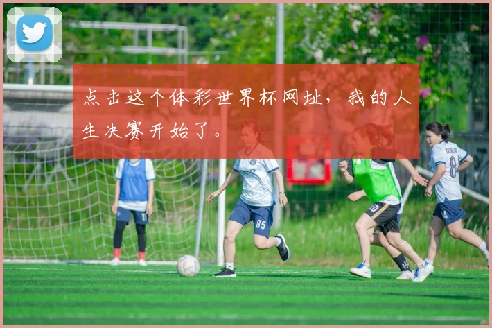 点击这个体彩世界杯网址，我的人生决赛开始了。