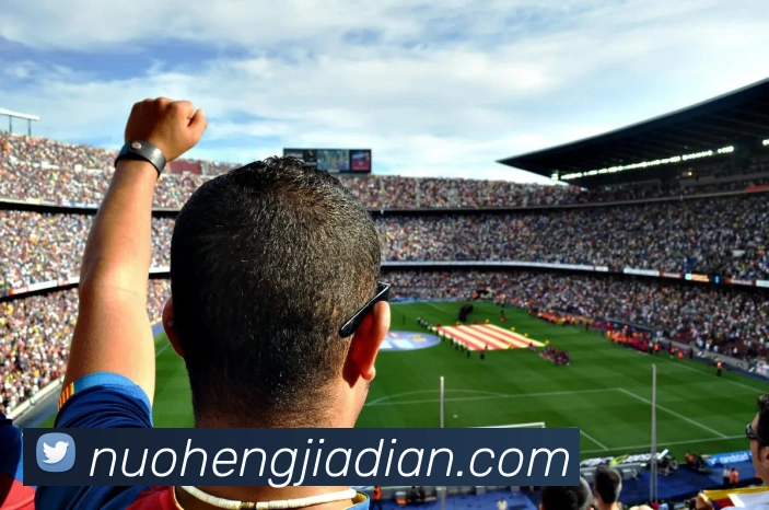 mksports在线登录入口平台生态图