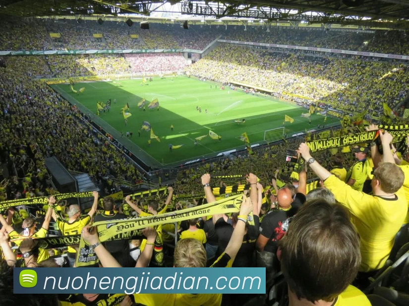 mksports在线登录入口全站App